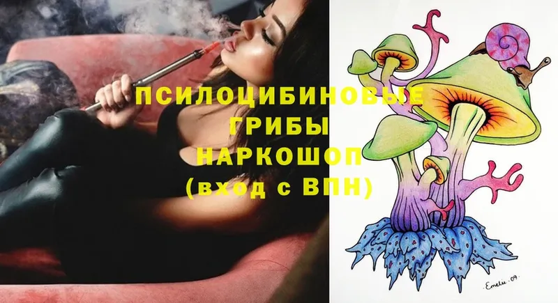 KRAKEN ссылка  Струнино  Псилоцибиновые грибы Magic Shrooms 